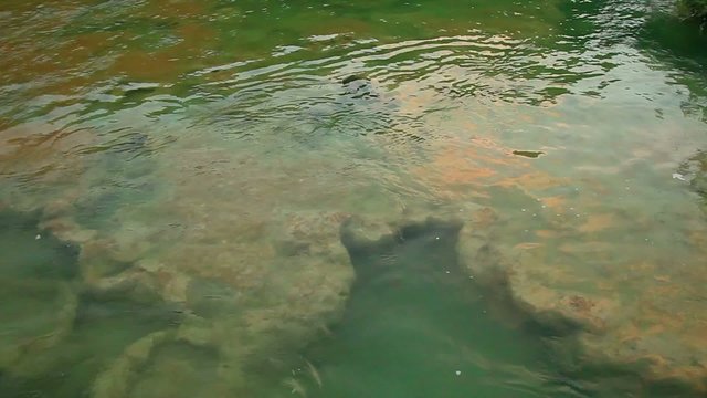 River in Krka National Park, Croatia