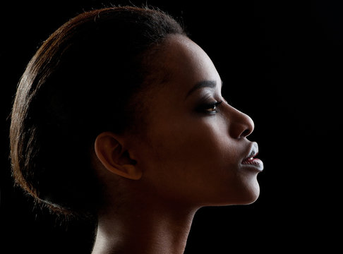 Beautiful  African-American woman. Black Beauty