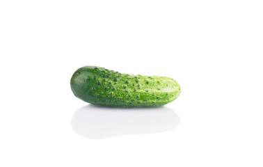 Close up of fresh cucumber.