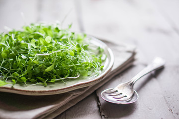 Raw sprouts(microgreens) on wooden background