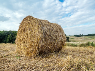 Hay bale drying on the open air
