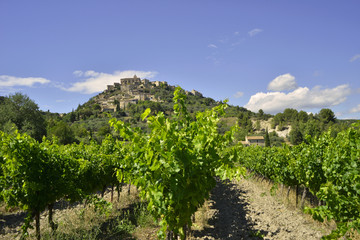 Fototapeta na wymiar Gordes (84220) dominant ses vignes, département du Vaucluse en région Provence-Alpes-Côte-d'Azur, France