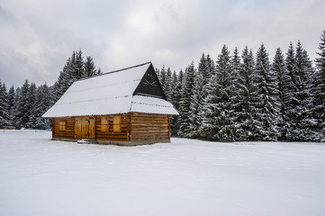 Krajobraz górski, góralska chata