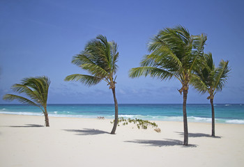Obraz na płótnie Canvas paradise beach