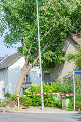 Baum  gegen Hausgiebel gestürzt