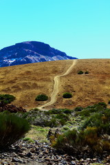 Road to Teide (volcano Teide, Tenerife, Canary Islands)