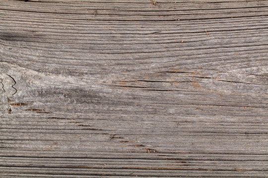 wood texture. Abstract background