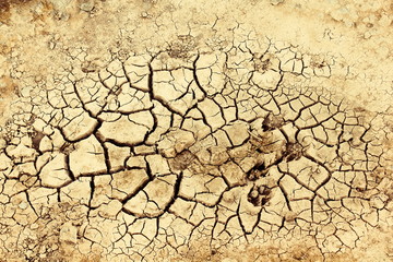 The sun beat down mercilessly on the dry earth