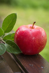 Fresh apple with water droplets