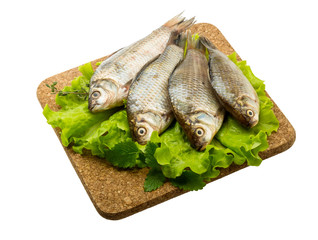 Crucian fish