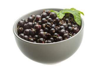 Black currant