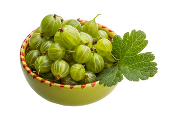 Gooseberry