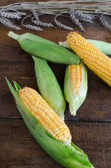 Raw corn on wood table