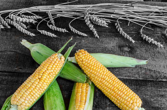 Raw Corn On Wood Table