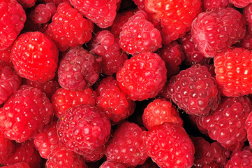 Raspberry background