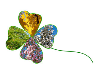 Bilder und Videos suchen: "4 jahreszeiten"