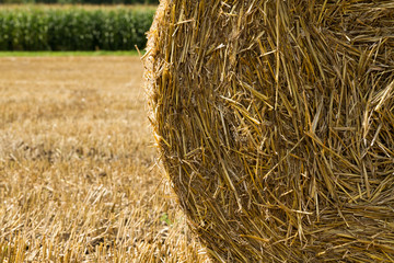 Rollende Strohballen