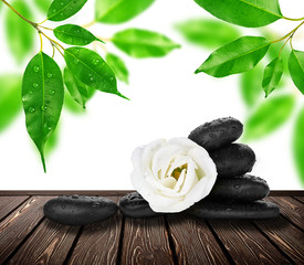 Fototapeta premium Spa treatment