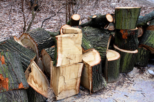 Aufgeschichtetes, gehacktes Holz