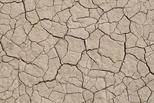 Dry land