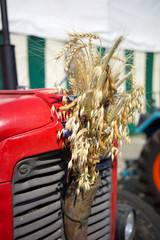 roter Oldtimer Traktor bei Erntedank Fest