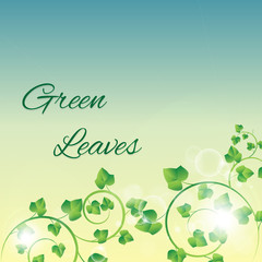 branch with fresh green leaves