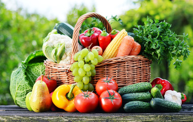 Wicker basket with assorted raw organic vegetables in the garden