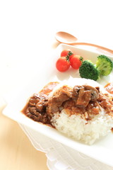 Homemade beef stew on rice