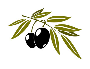 Black olives branch with leaf