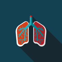 Lungs flat icon with long shadow