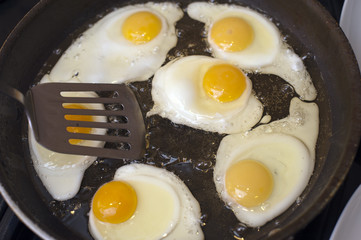 Frying a batch of eggs