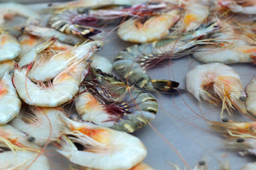 Fresh shrimp in the market