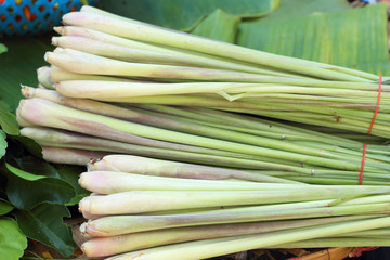 Close up of lemon grass