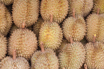 Durian in the market