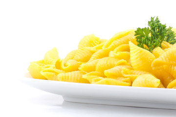 Shell Macaroni and Cheese