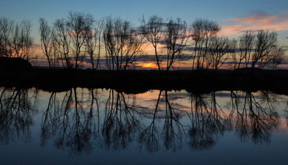 Winter Trees Water Sunset