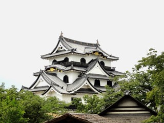 Fototapeta premium 彦根城