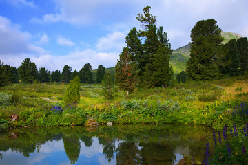 Fototapeta premium Ayryk lakes in Altai mountains