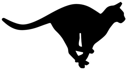 Katze © frilled_dragon