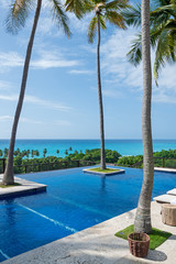 Resort pool with palm-tree and basket over the ocean under the s