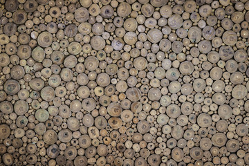 close up of tree stumps background