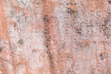 Textured of cement wall weathered.