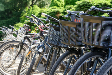 Bicycles are parked