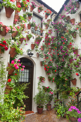 Fototapeta na wymiar Flowers Decoration of Courtyard, typical house in Spain, Europe