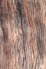 Fototapeta premium surface of brown plank.