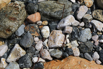 Background of  the sea stones