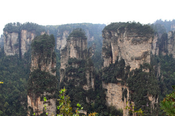 Fototapeta na wymiar TianZi Mountain natural scenery