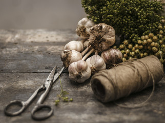 Coriander, garlic and flax on vintage desk with scissors