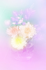 Chrysanthemum flowers.