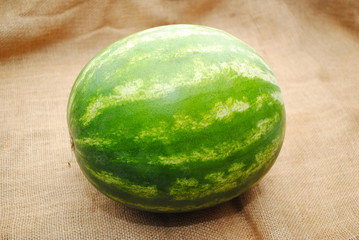 Large  Wholw Green Watermelon on Burlap